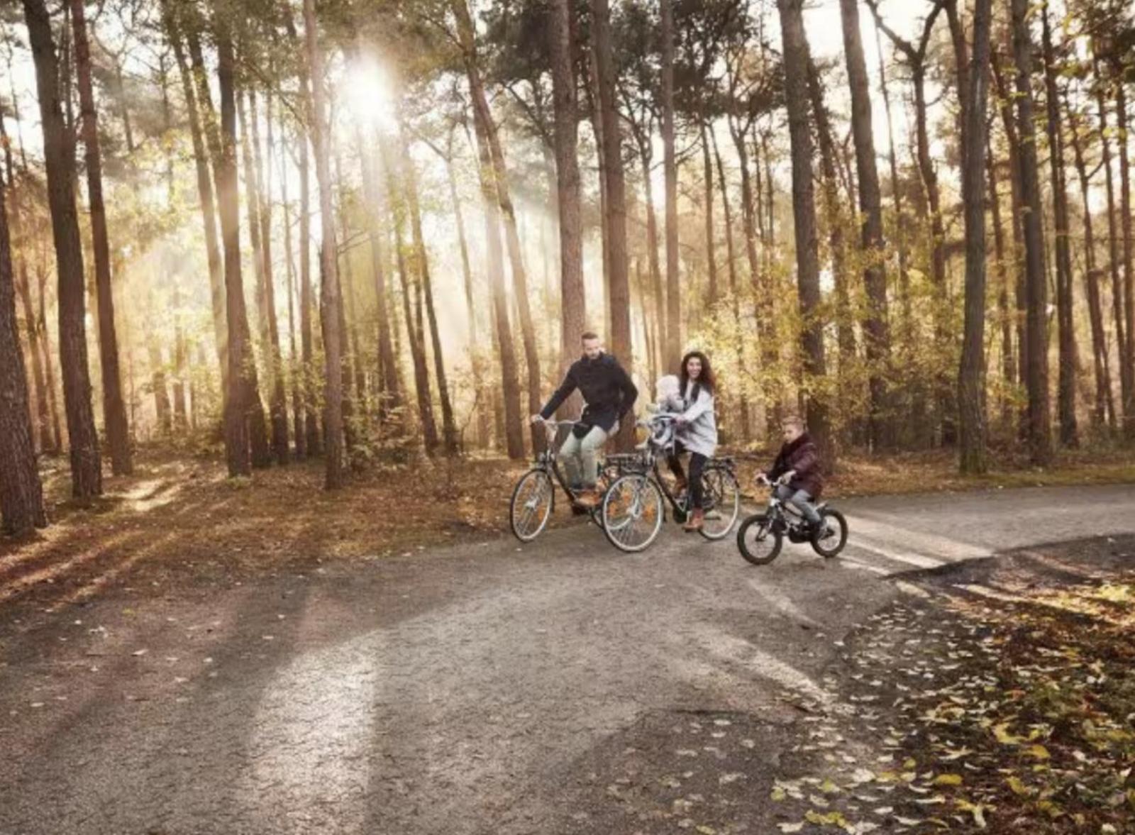 Glamping Lodge With Eco-Wellness Zeewolde Zewnętrze zdjęcie